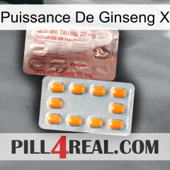 Ginseng Power X new13